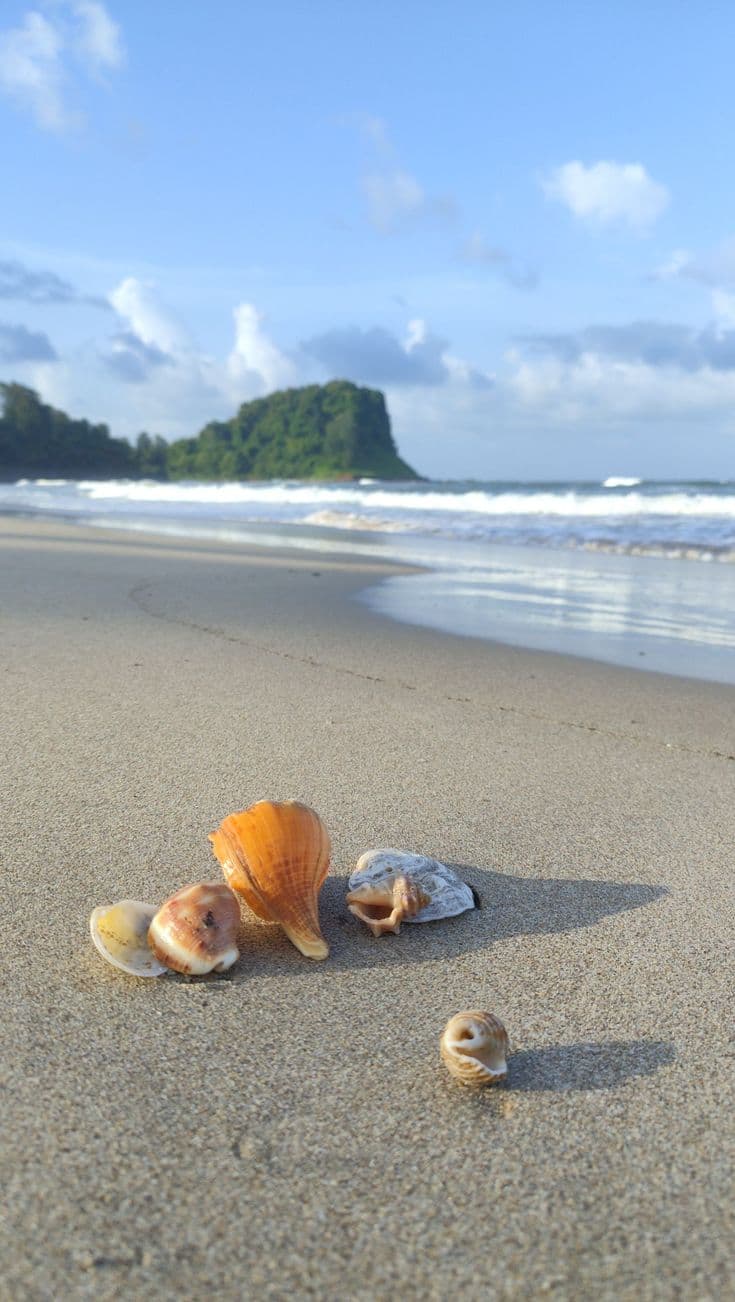 Alibaug Beach Adventure — media 5